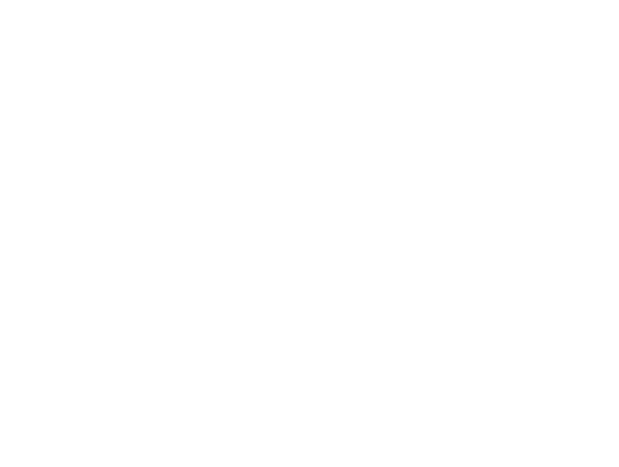 UAE Holding